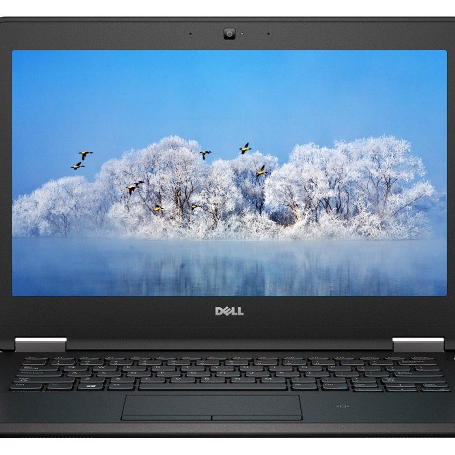 Laptop 12.5'' Dell Latitude E7270 (I5-6200U/8GB/128GB SSD) 