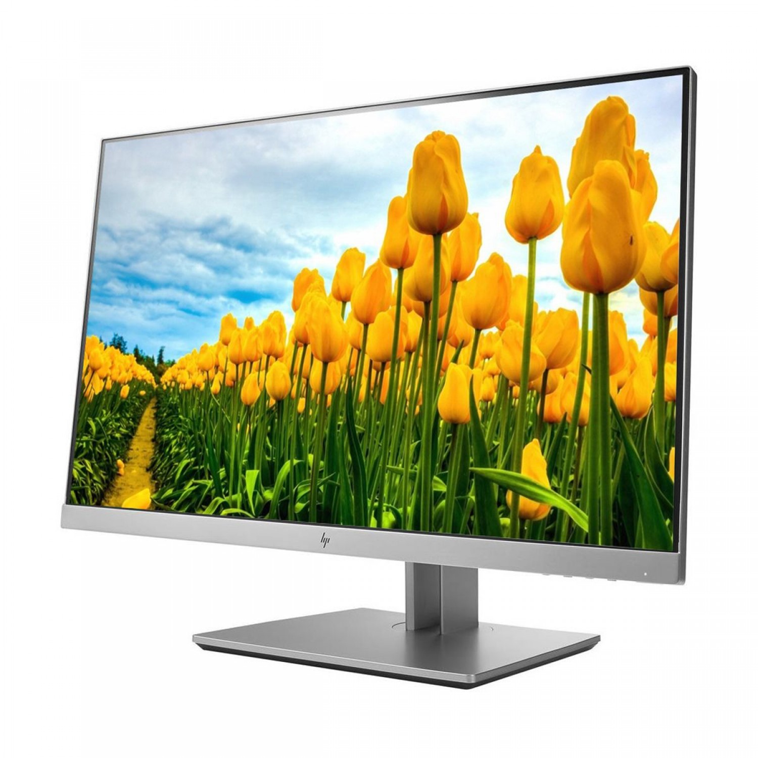 Monitor 23″ HP EliteDisplay E233 