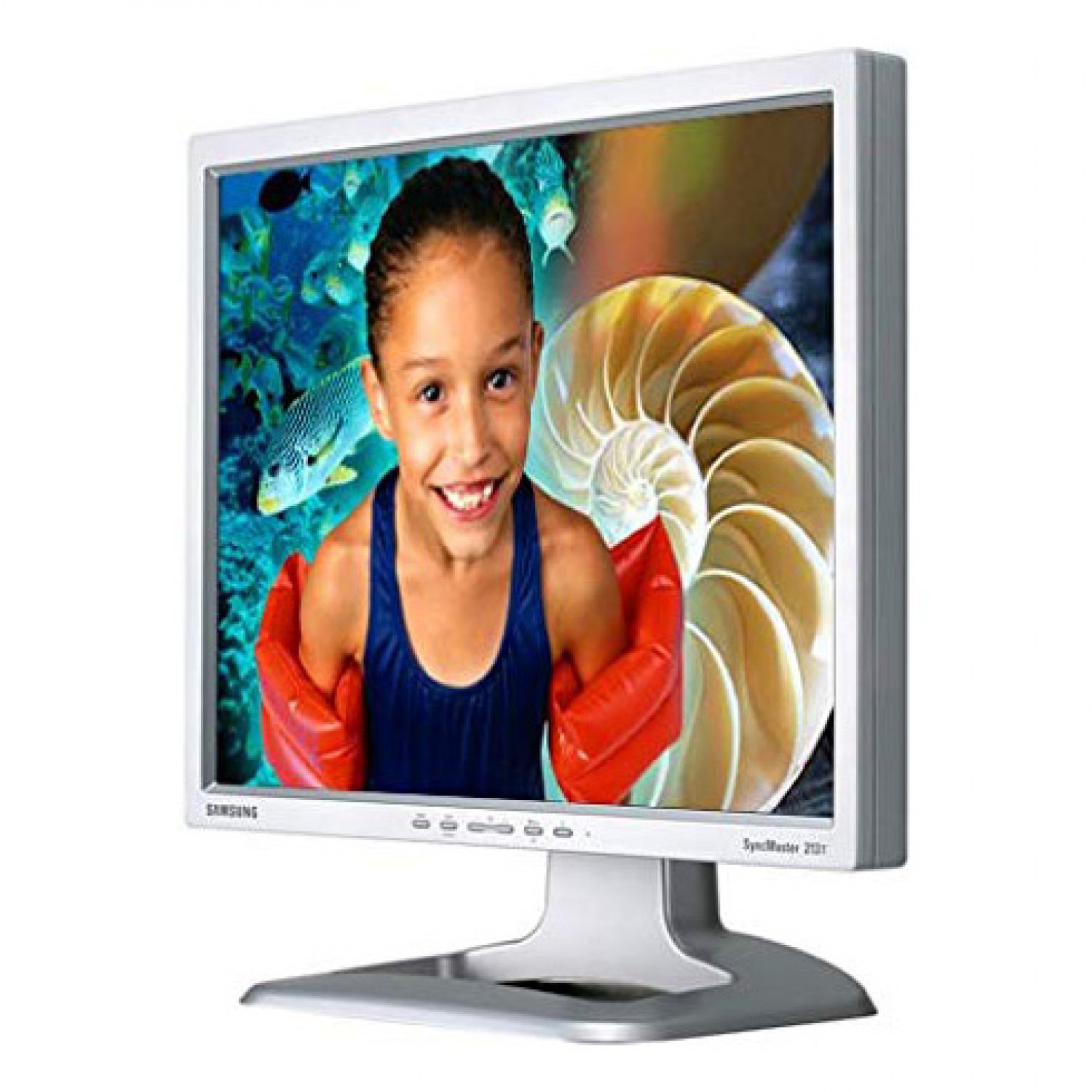 Monitor 21.3'' Samsung 213T 